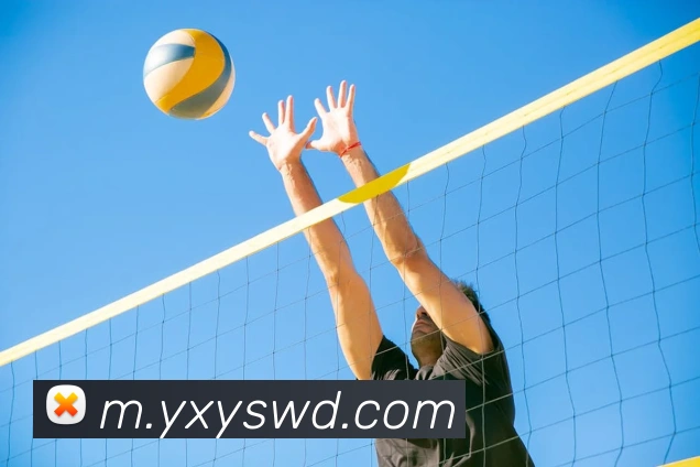 问鼎娱乐APP 体育赛事宣传图